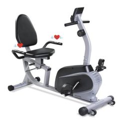 Maxkare Recumbent Exercise Bike Indoor Cycling Stationary Bike with Adjustable Seat and Resistance, Pulse Monitor and Phone Hold