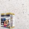 DAICH DCT-MNS-NW Quart SpreadStone Mineral Select Countertop Refinishing Kit, Natural White