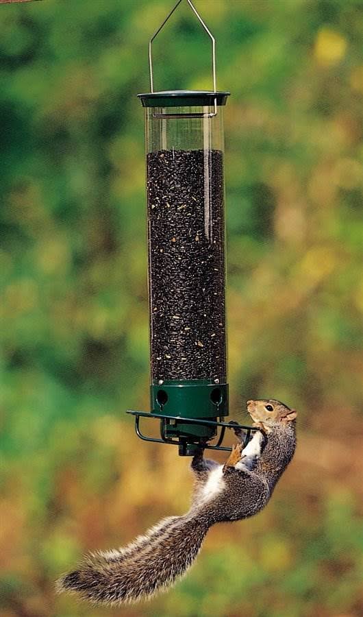 Droll Yankees Flipper Tube Bird Feeder, Green - Image 2